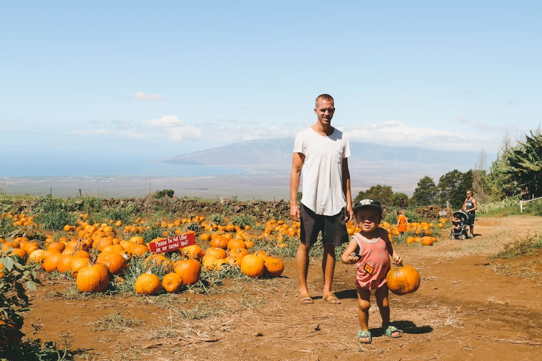 halloween in hawaii pumpkin patch