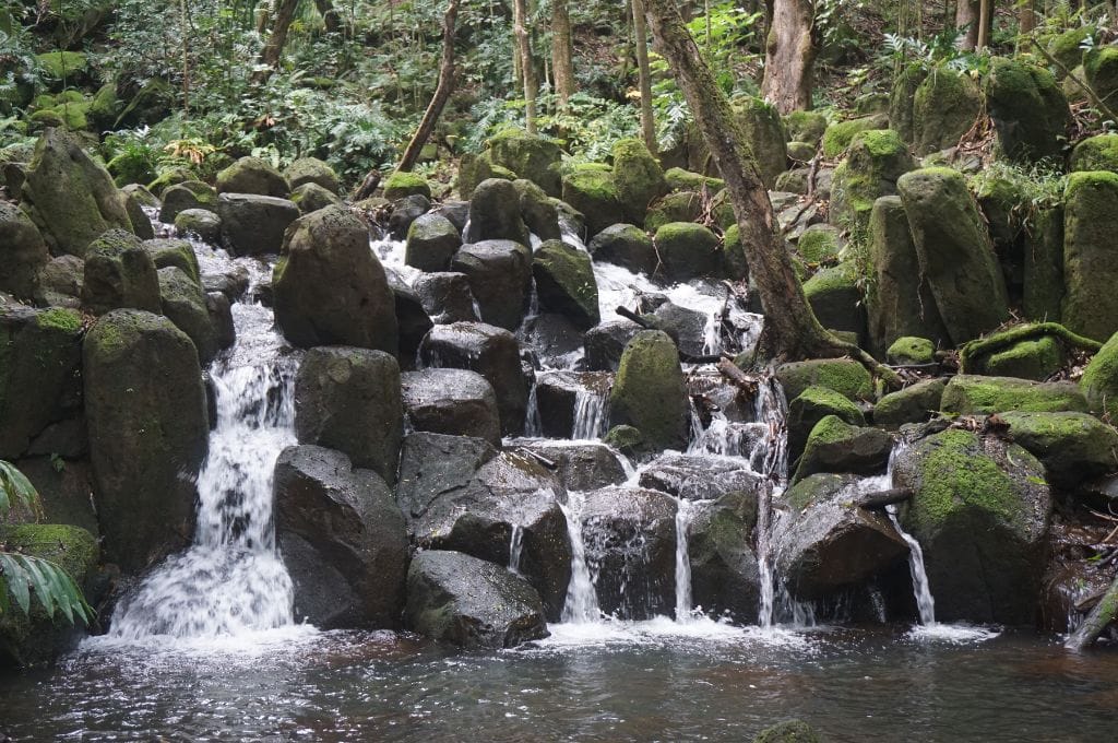 waterfall in kauai - diverse landscape