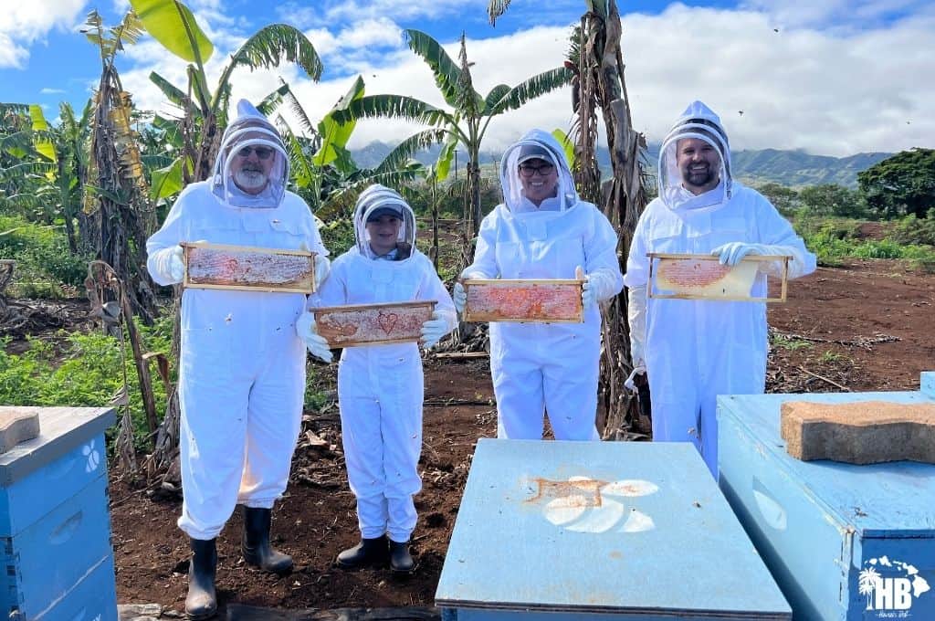 bee keeping at hihoney farm - hawaii destination expert