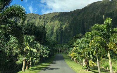 7 Reasons Surf Leggings are Your New Travel Essential 1 Why a Certified Hawaii Destination Expert Is the Key to Stress-Free Hawaii Trip Planning