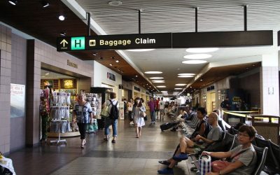 [Updated] FAA cuts flights at 40 airports including Honolulu. Here’s what Hawaii travelers need to know ahead of holiday season