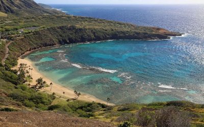 Hanauma Bay Reservations Get Major Update with New Transportation System