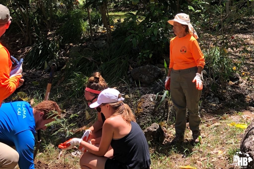 maui cultural lands - hawaii destination expert