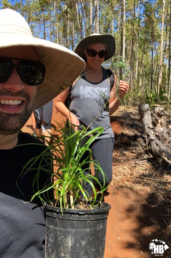 regenerative tourism - hawaii destination expert