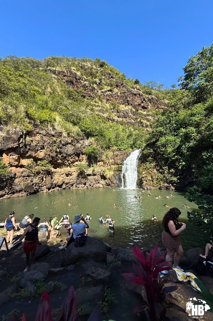 waimea falls in waimea valley on oahu