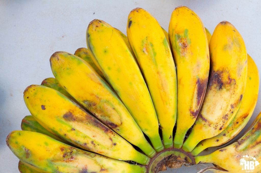 Apple Bananas in hawaii
