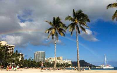 Do You Need a Passport to Go to Hawaii? 1 Hawaii Tourism Forecast 2026: Green Fee, Mixed Demand