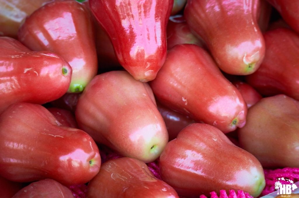 mountain apples in hawaii