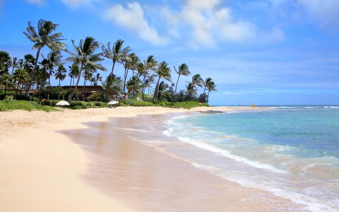Why Poipu Beach is the Best Beach on Kauai (Don’t Skip this One!)