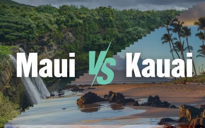 11 Best Waterfalls in Maui You Must Visit in 2024 1 Maui vs Kauai: Which Hawaiian Island is Best for You? (Quiz Included)