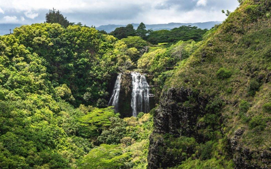 Opaekaa Falls Now Charges a Fee: What Kauai Visitors Need to Know
