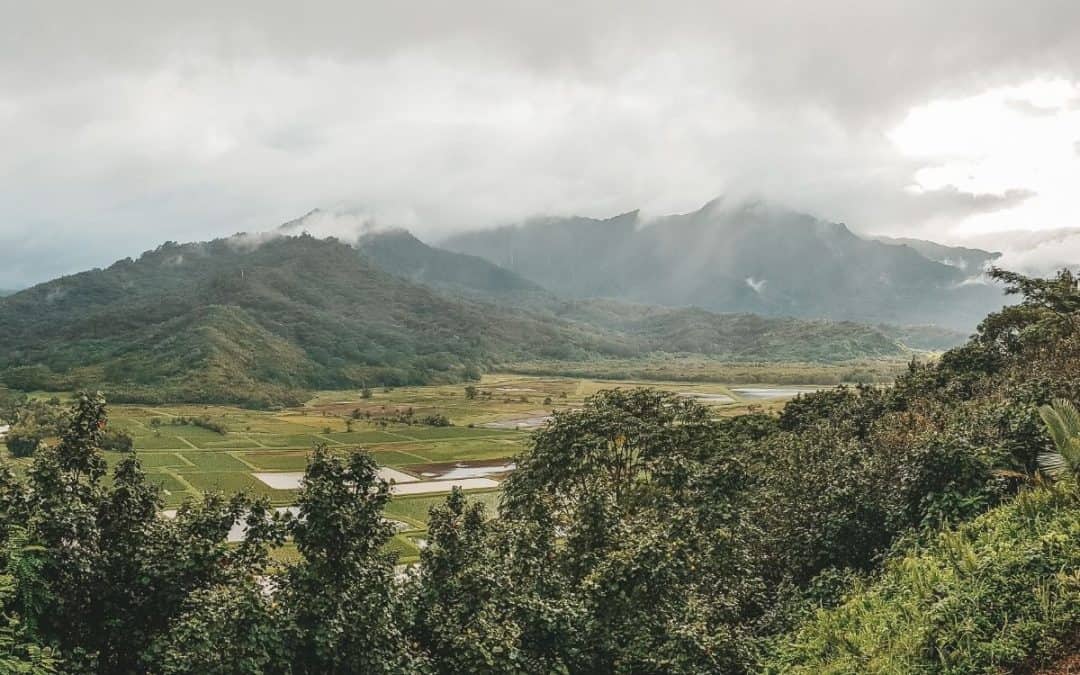 Unique Kauai Activities: 5 Experiences Actually Worth Your Time