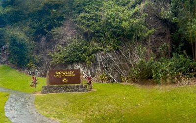 Why a Certified Hawaii Destination Expert Is the Key to Stress-Free Hawaii Trip Planning 1 Iao Valley Closure Extended Through July 24. Here’s What Maui Travelers Should Do.
