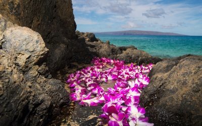 Why a Certified Hawaii Destination Expert Is the Key to Stress-Free Hawaii Trip Planning 3 How to Preserve a Lei for the Plane Ride Back Home