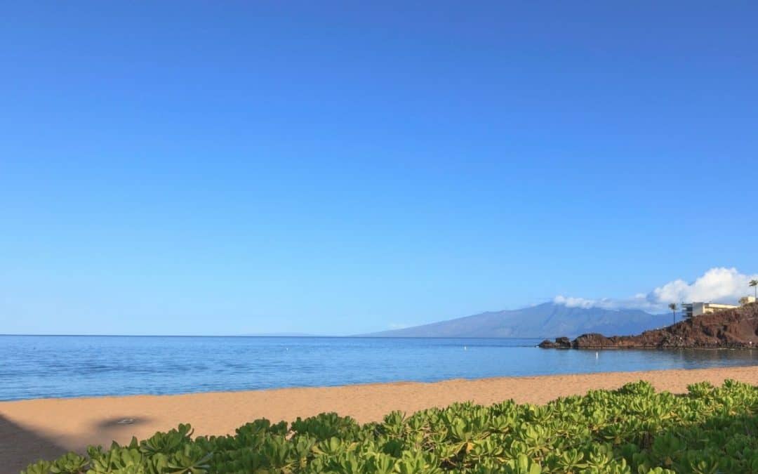 Kaanapali Beach Just Got an Emergency Plastic Barrier. Here’s What It Means for Your Beach Walk.