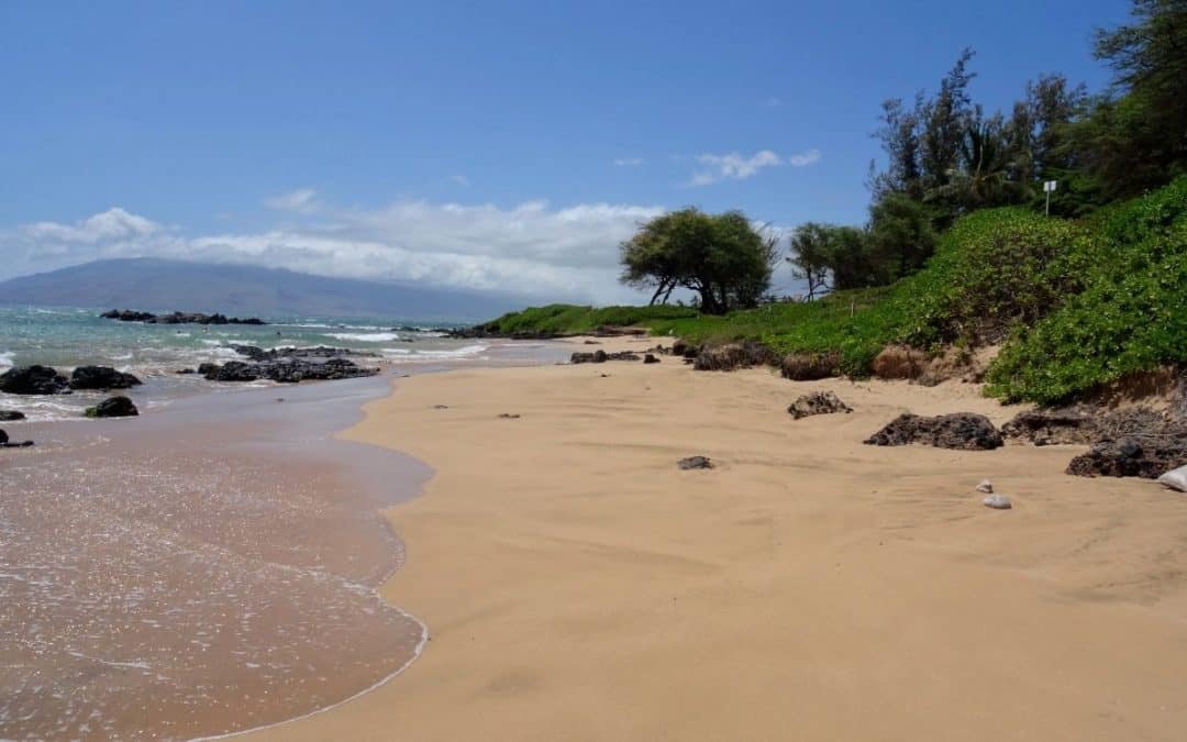 Two Popular Maui Beach Lots Start Charging Visitors July 15. The Morning Rule Matters More.