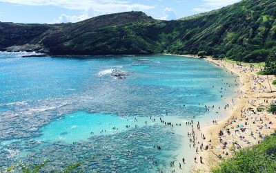 Hawaii Reservations and Fees 2026: What You Need to Book