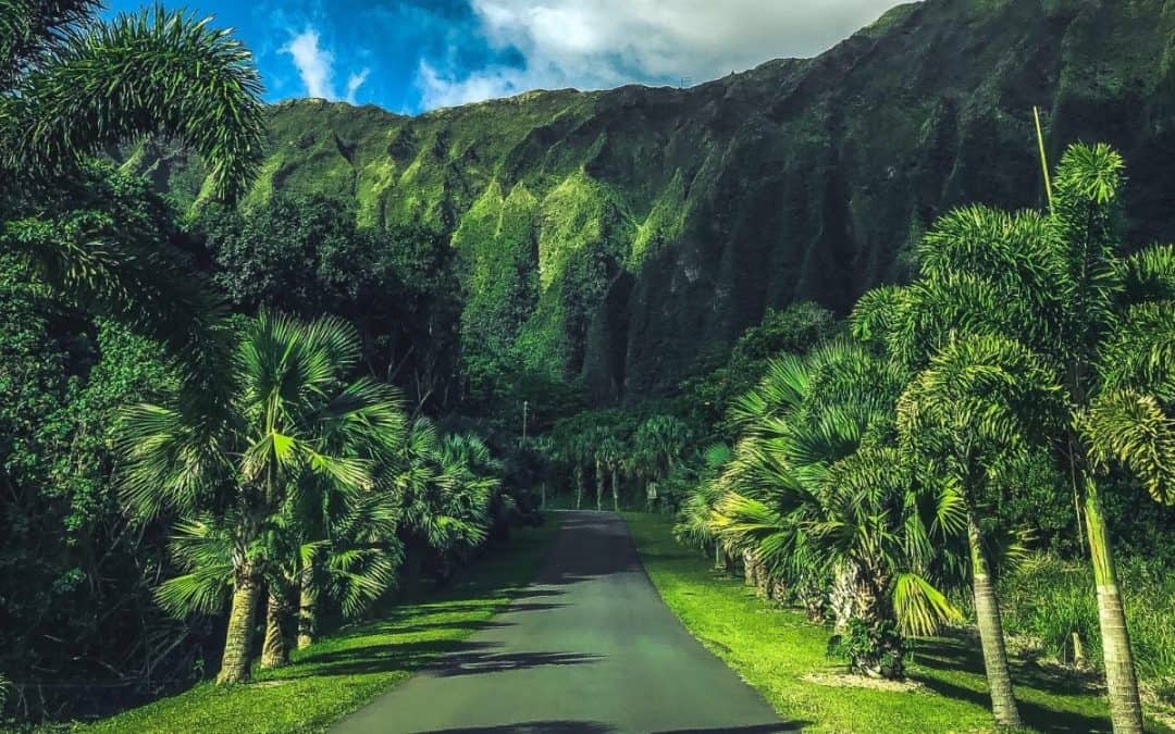 Oʻahu’s Free Hoʻomaluhia Botanical Garden May Not Stay Free