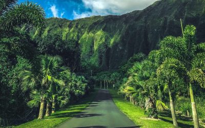 Why You Can’t Travel Between Hawaii’s Islands by Boat 1 Oʻahu’s Free Hoʻomaluhia Botanical Garden May Not Stay Free