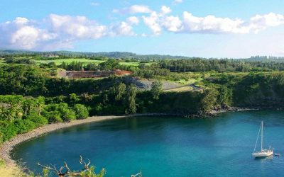 Birding on Kauai: The Ultimate Guide to the Best Bird Watching Spots (2023) 1 Hawaii Just Named Its Most Strained Visitor Hotspots: Here’s What Could Change