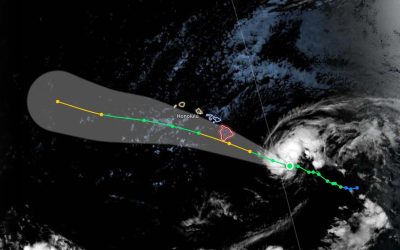 Does Hawaii Have Snakes? Yes! (What to Know Before Visiting) 1 Tropical Storm Lala Is Approaching Hawaii. Here’s What Travelers Need to Know Right Now