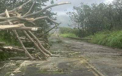 Ways You Can Help Those Affected by Hurricane Lowell 1 Kauai Travel After Hurricane Lowell: Current Conditions, Flights and Should You Rebook?