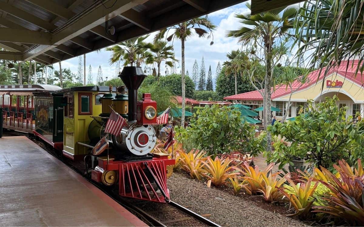 Oahu Tourist Traps: What’s Worth Skipping and What’s Still Worth Doing