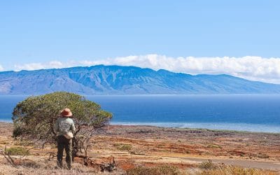 Maui Fires Update (Aug. 25, 2023): This Week in Review with Garrett Marrero of Maui Brewing Company 1 Leave Hawaiʻi Better Than You Found It: Help Grow a Native Forest