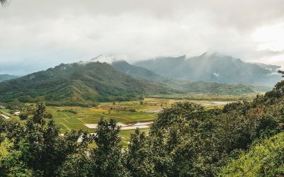 Hawaii Travel in 2026: What Visitors Need to Know Before Booking 1 Ways You Can Help Those Affected by Hurricane Lowell