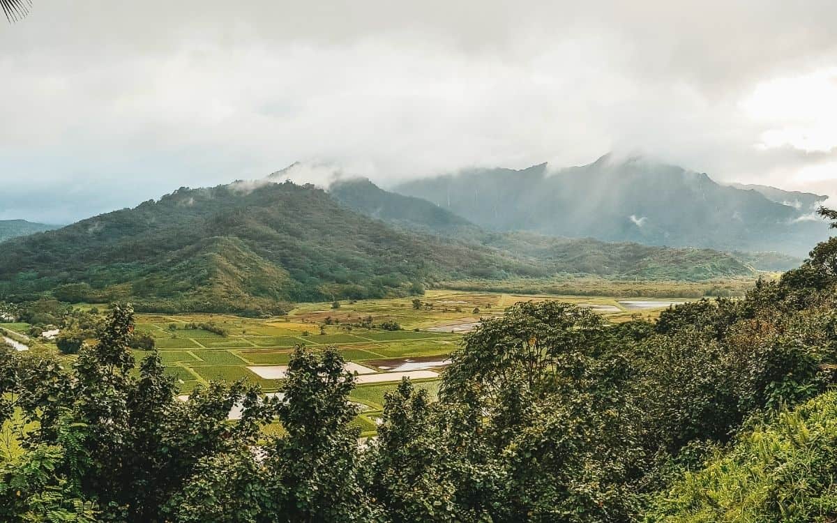 ways to help kauai after hurricane lowell ways to help kauai after hurricane lowell