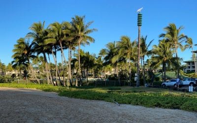Leave Hawaiʻi Better Than You Found It: Help Grow a Native Forest 1 How to Travel to Hawaii on Points: A Beginner’s Guide with Points Talk